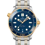 Omega Seamaster Diver 300m 210.20.42.20.03.001 42mm