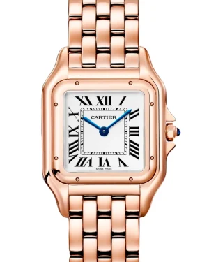 Panthère de Cartier CRWGPN0061 29mm