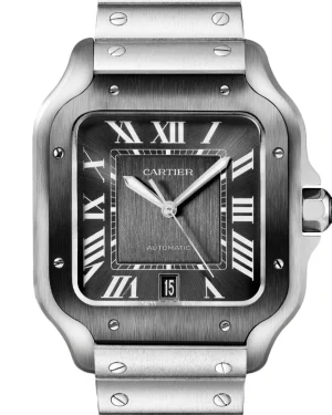 Santos de Cartier CRWSSA0037 39,8mm